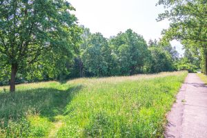 Grundstück in Chemnitz-Markersdorf