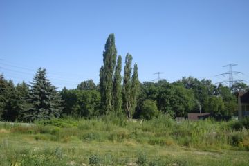 Grundstück - Beethovenweg in Chemnitz