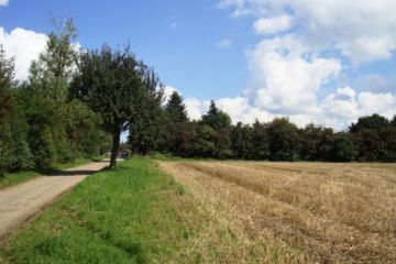 8 Grundstücke - Jack-London-Straße in Chemnitz