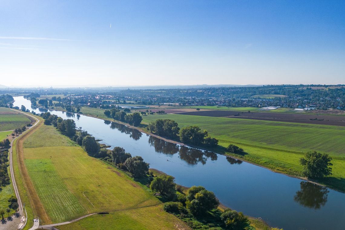 DJI_0783.jpg