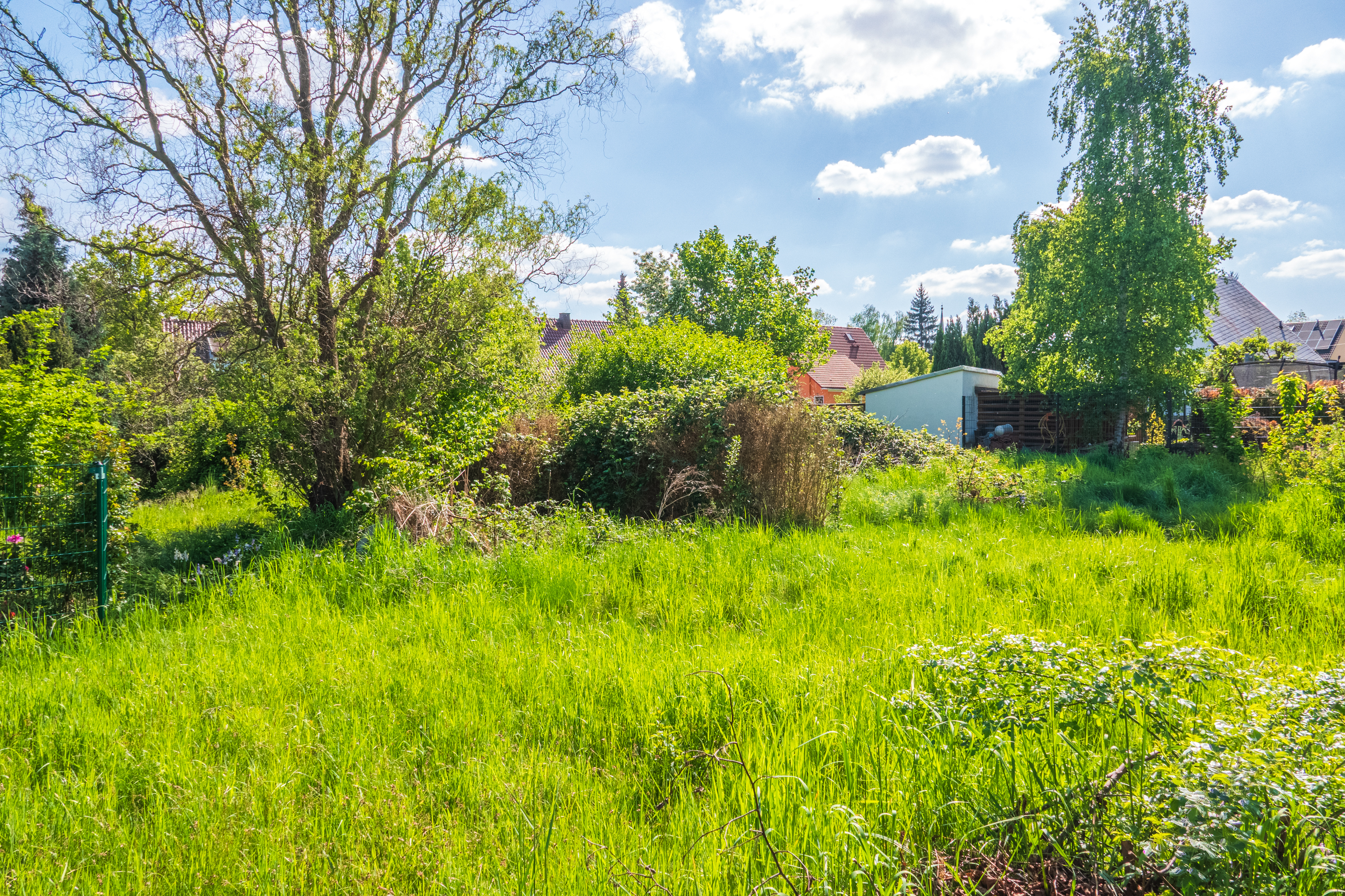 DSC04640-HDR.jpg